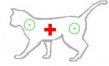 Ostatní veterinární přípravky