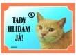 Tabulky