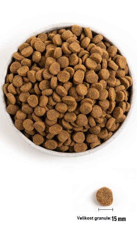 Další foto