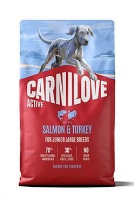 CARNILOVE ACTIVE Dog Dry Made with Salmon & Turkey for Junior Large Breeds 4 kg