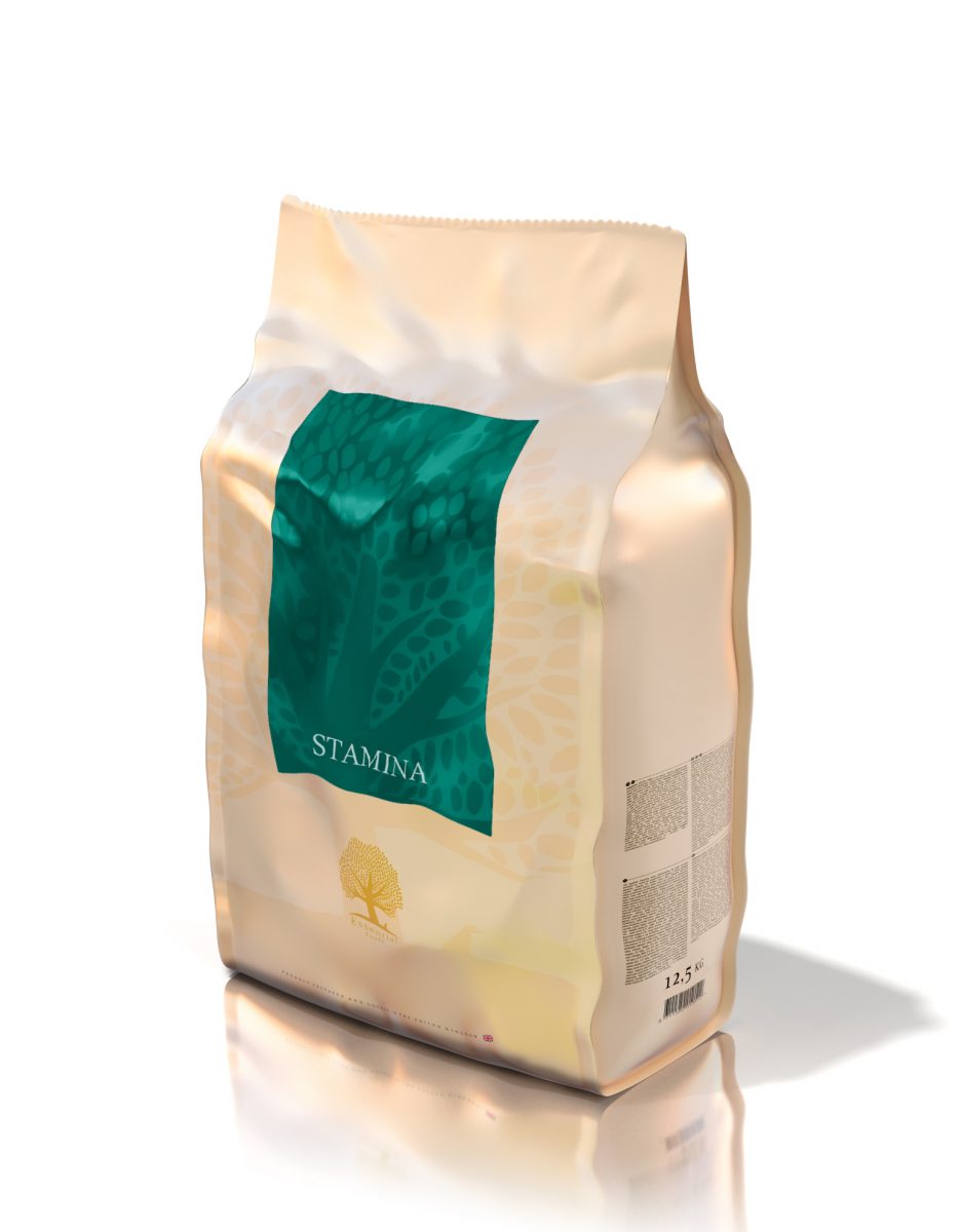 Essential Stamina 2,5 kg