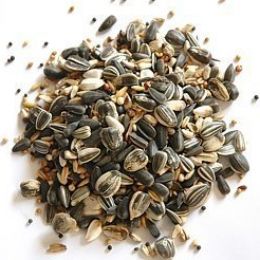 Avicentra Směs do krmítek 1 kg