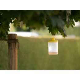Lapač múch FlyCage3, vrátane návnady 25g  